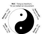 Yin Yang